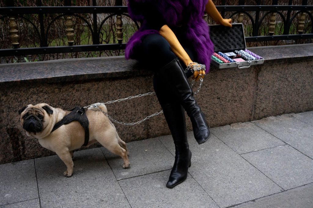 Stylish woman in purple with a pug and briefcase on a city sidewalk.